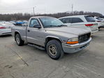 Dodge Dakota 2000
