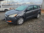Ford Escape 2015