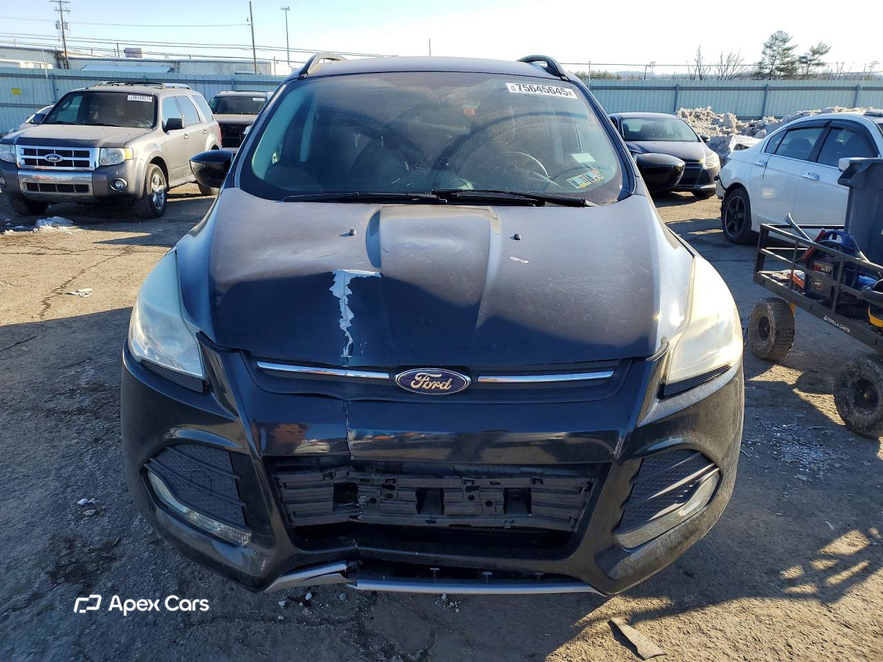 Ford Escape 2014
