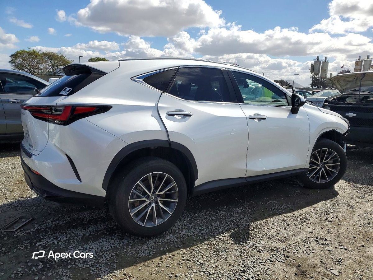 Lexus NX 2024