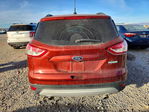 Ford Escape 2014