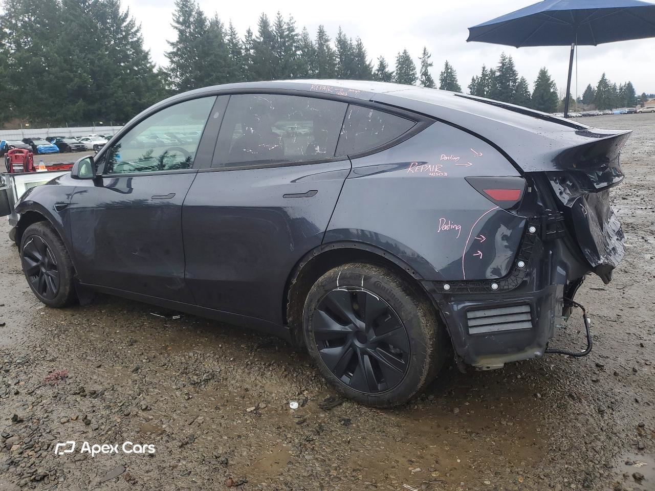 Tesla Model Y 2025