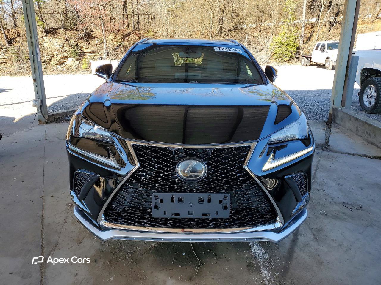 Lexus NX 2018