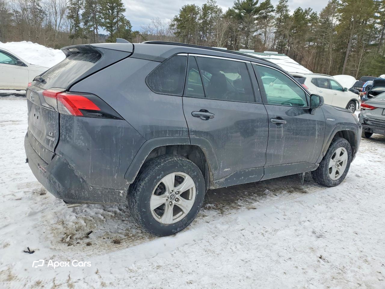 Toyota RAV 4 2019