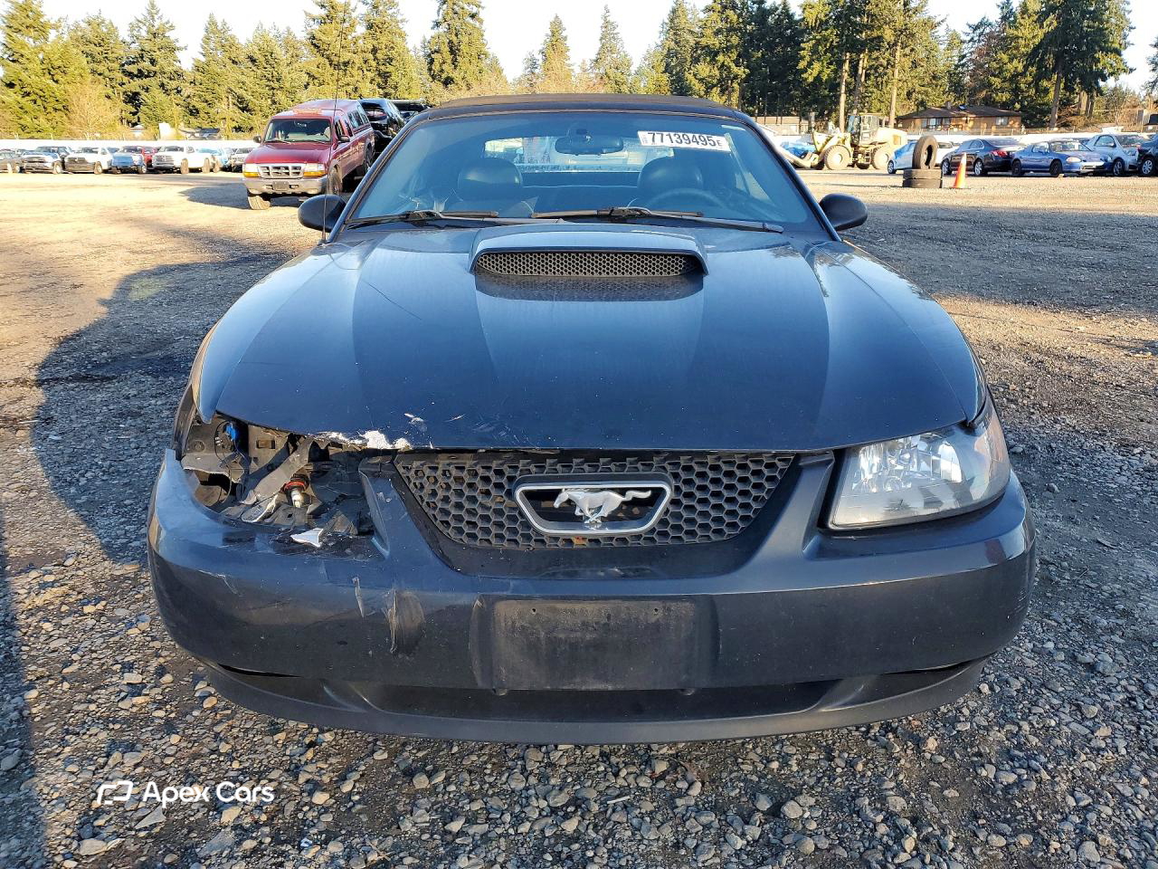 Ford Mustang 2004