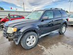 Ford Escape 2010