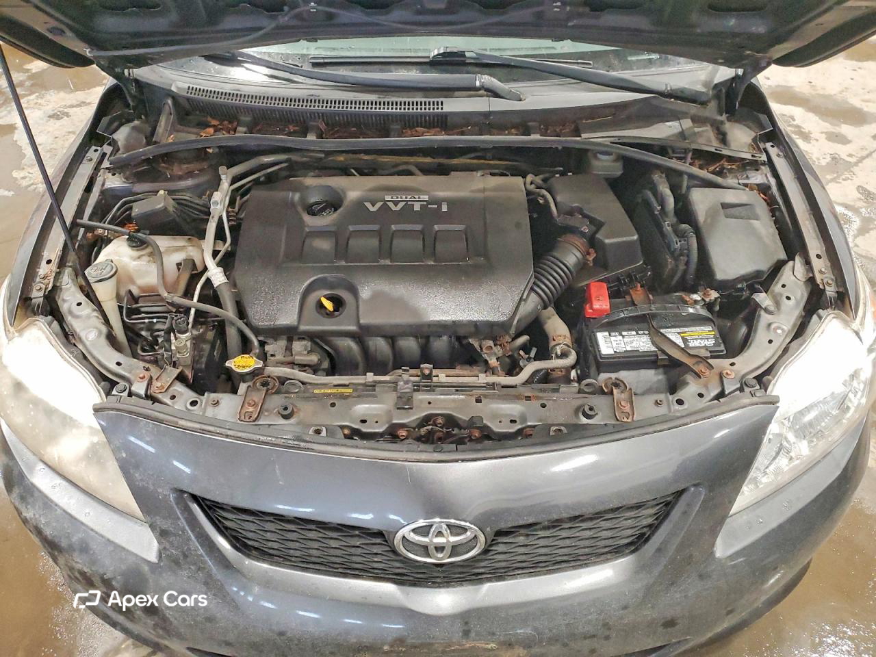 Toyota Corolla 2010