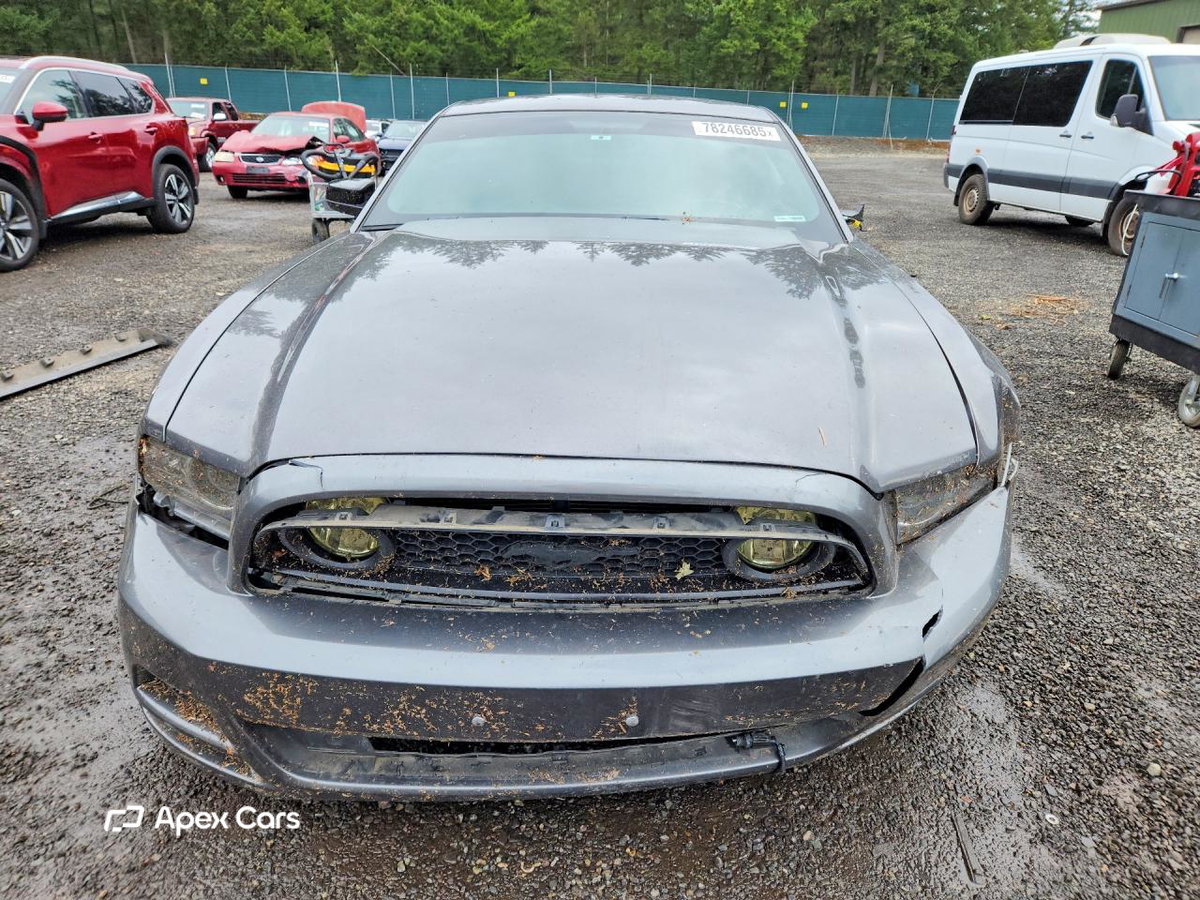 Ford Mustang 2013