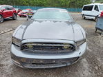 Ford Mustang 2013
