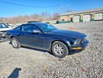Ford Mustang 2007