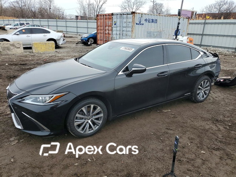 Lexus ES 2020 - Image 1 of 12