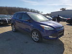 Ford Escape 2016