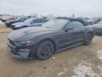 Ford Mustang 2023