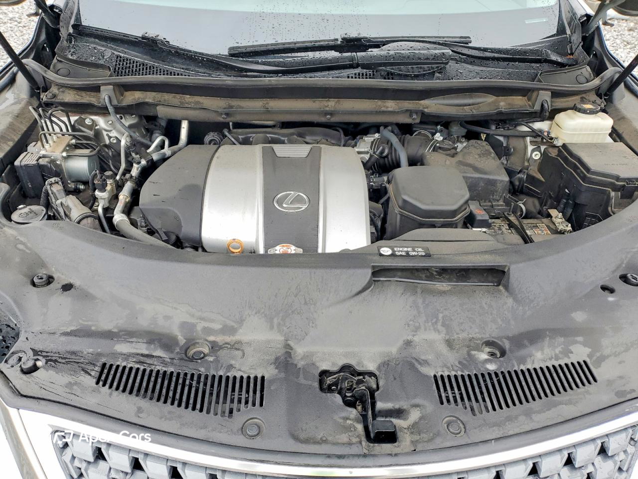 Lexus RX 2022