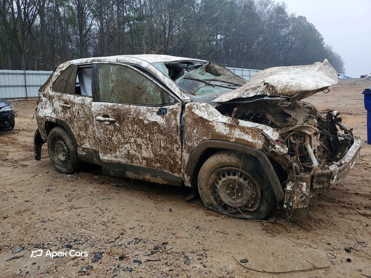 Toyota RAV 4 2024