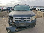 Ford Escape 2010