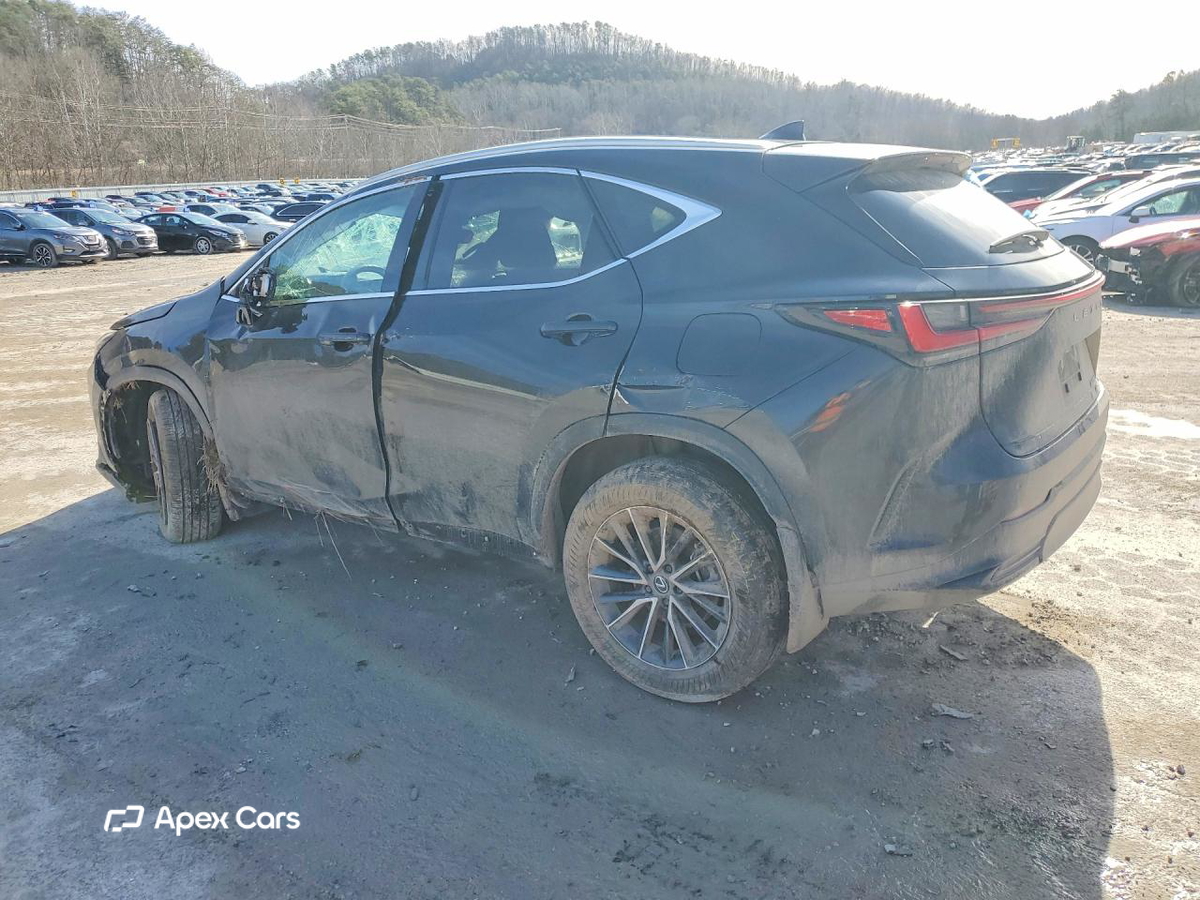 Lexus NX 2025