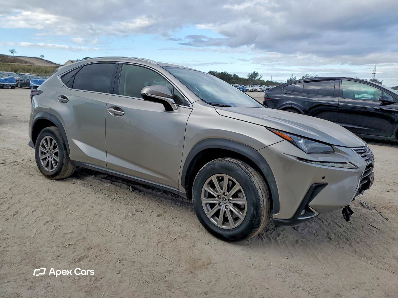 Lexus NX 2020
