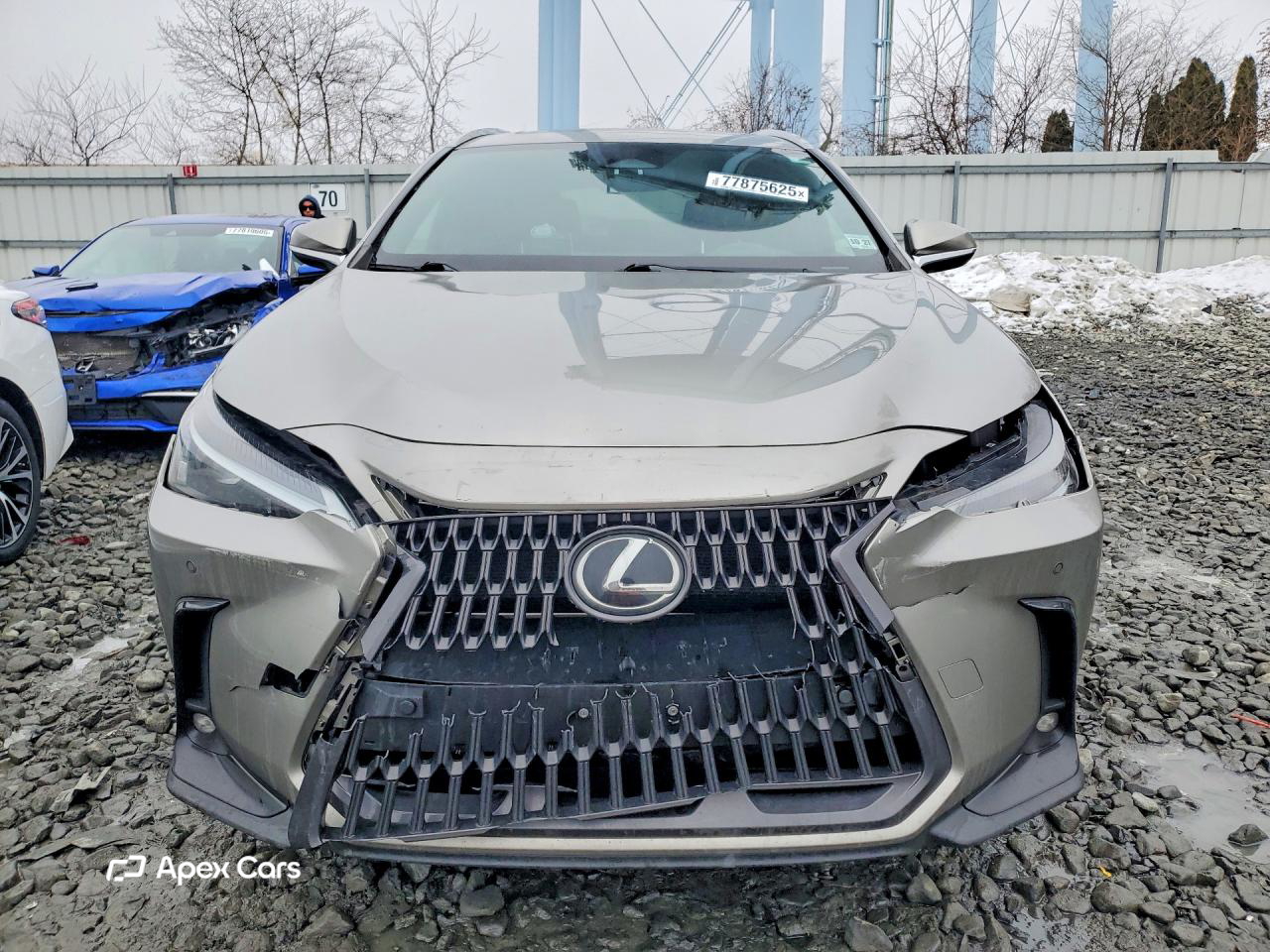Lexus NX 2022