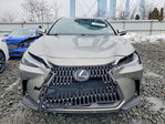 Lexus NX 2022