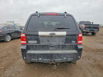 Ford Escape 2010