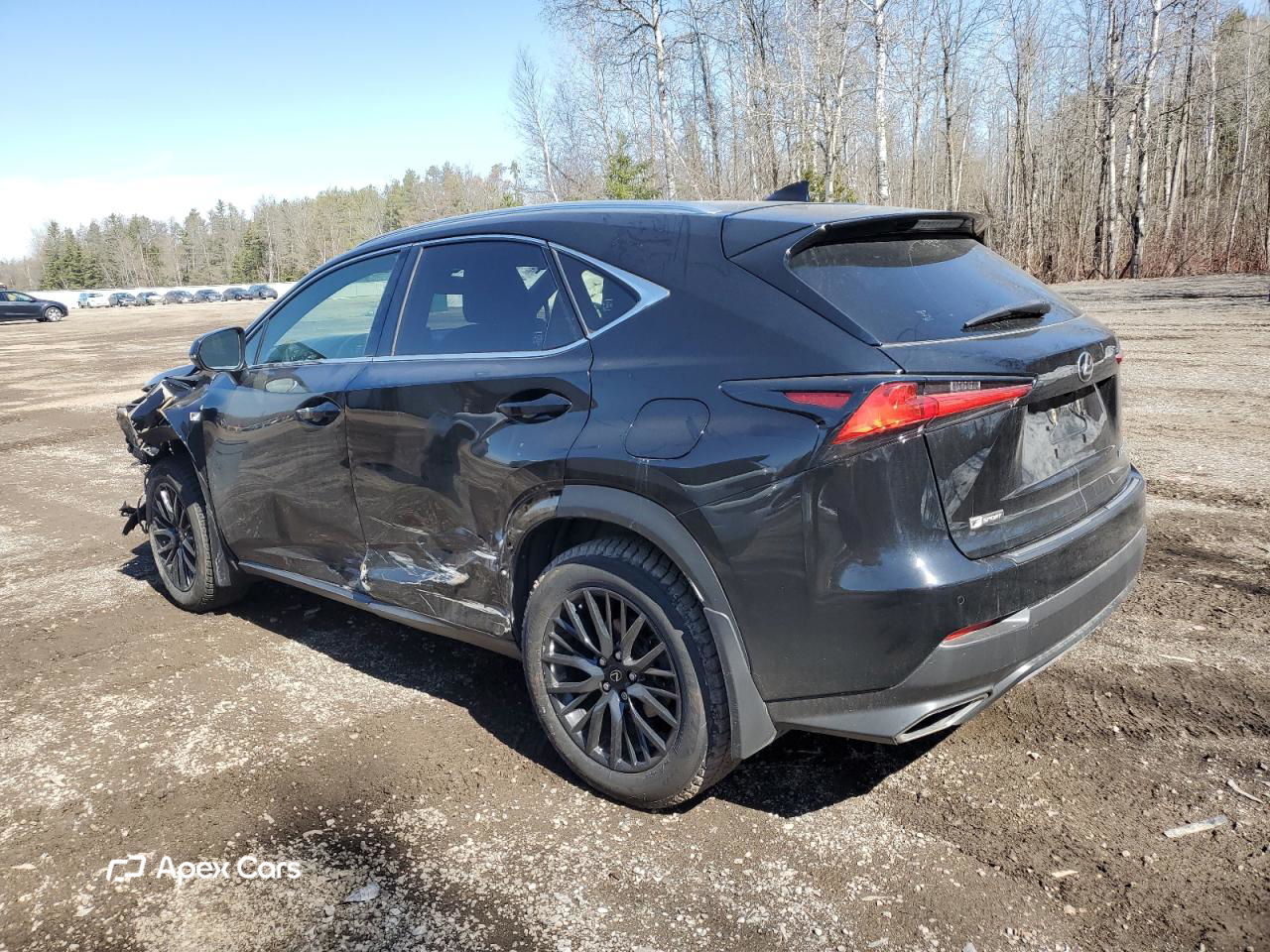 Lexus NX 2020