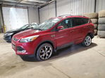 Ford Escape 2013