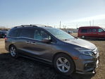 Honda Odyssey 2020