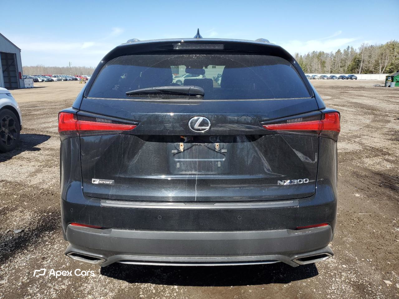 Lexus NX 2020