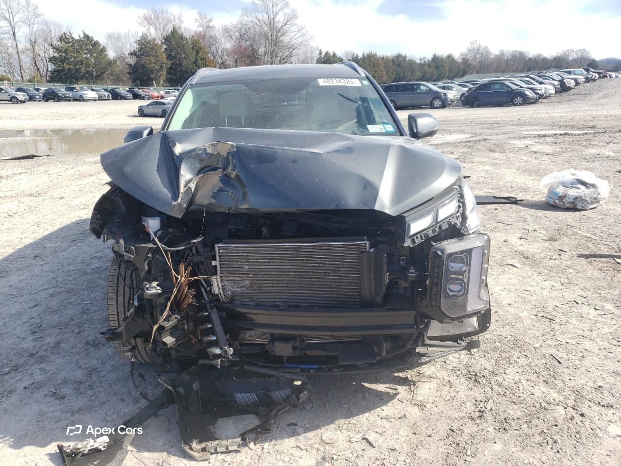 Hyundai Palisade 2024