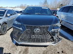 Lexus NX 2020