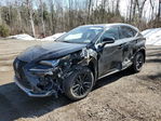 Lexus NX 2020