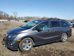 Honda Odyssey 2020