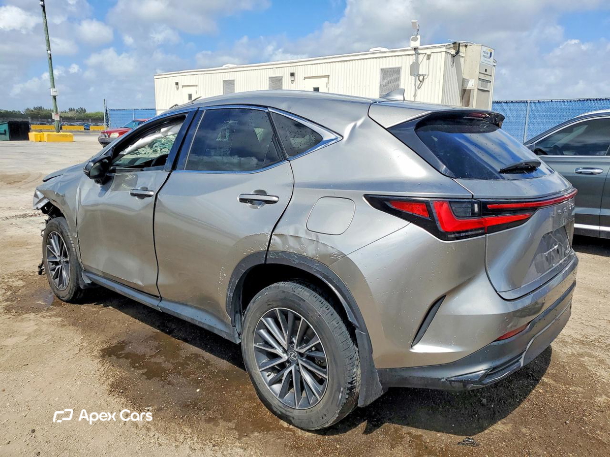 Lexus NX 2022