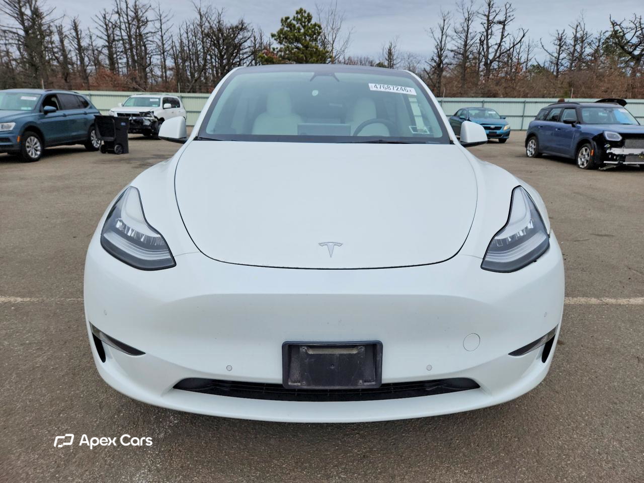 Tesla Model Y 2022