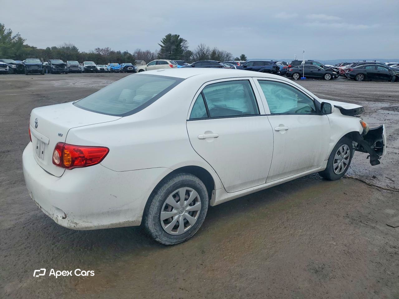 Toyota Corolla 2010