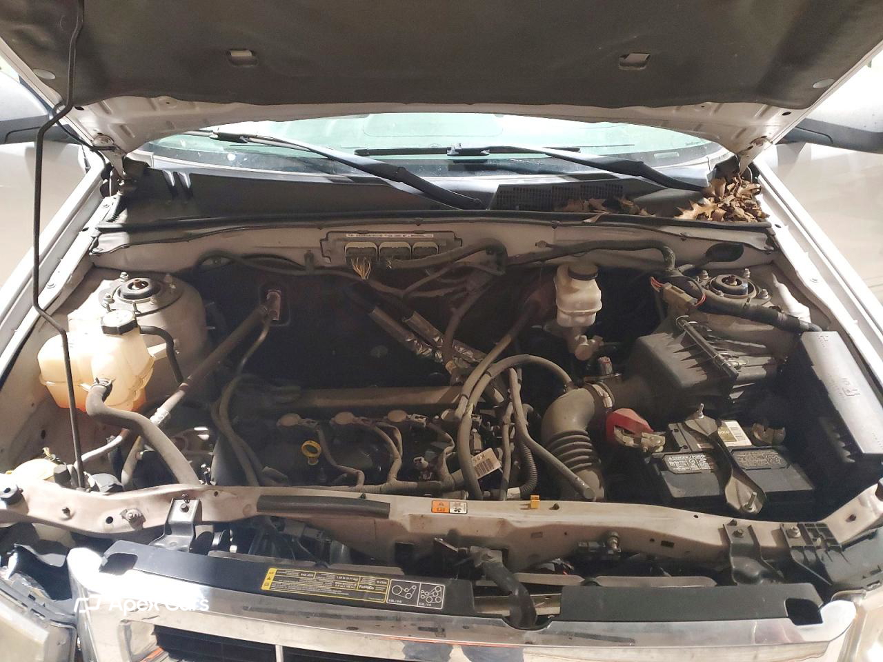 Ford Escape 2011