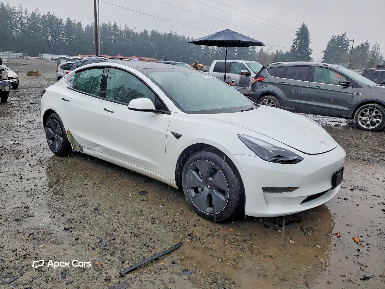 Tesla Model 3 2022