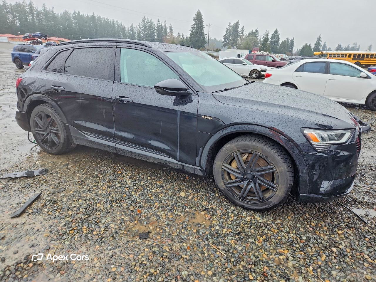 Audi e-tron 2021