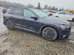 Audi e-tron 2021