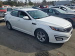 Kia Optima 2015