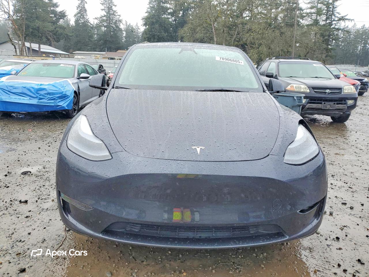 Tesla Model Y 2025