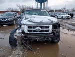 Ford Escape 2009