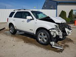 Ford Escape 2008