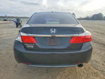 Honda Accord 2013
