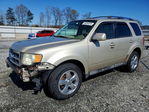 Ford Escape 2010