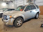 Ford Escape 2010