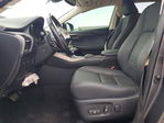 Lexus NX 2020