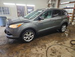 Ford Escape 2014