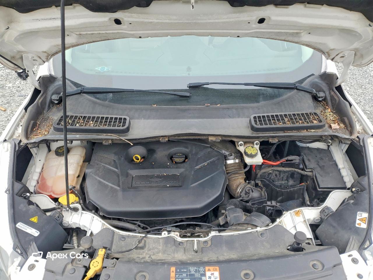 Ford Escape 2015
